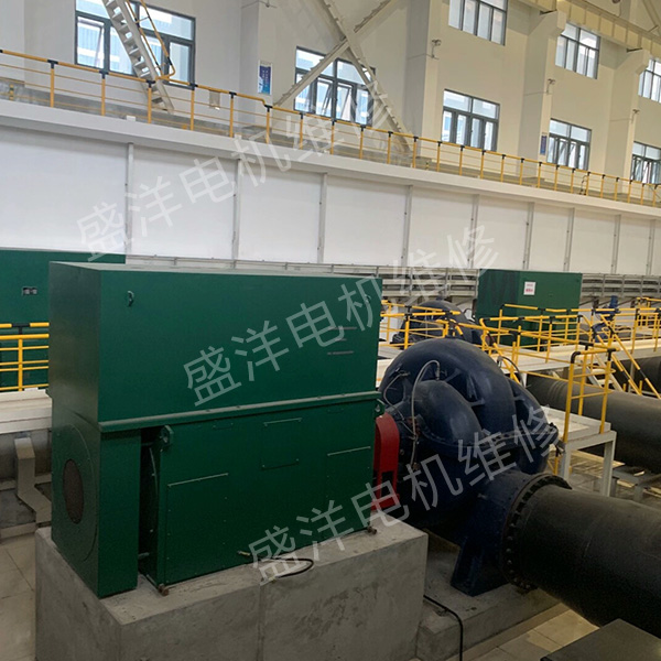 扬州大型电机修理公司