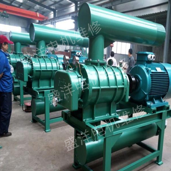 扬州专业风机维修厂家 